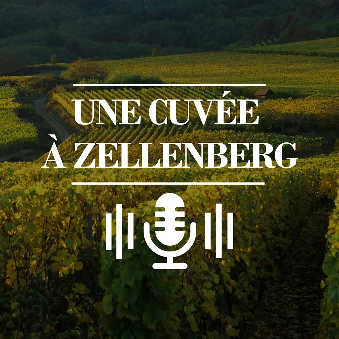 Une cuvée à Zellenberg - EP3 - L'été